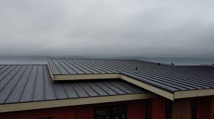 Best Roof Maintenance and Cleaning  in Tracyton, WA